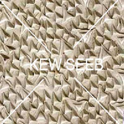 Rough Emery Surface Grey 