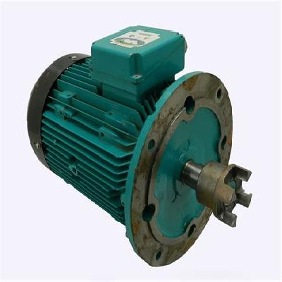 Crompton Motor