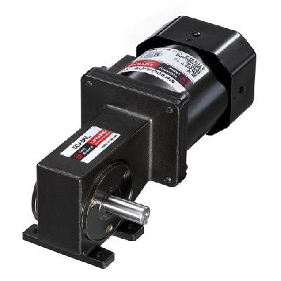 Worm Gear Motor