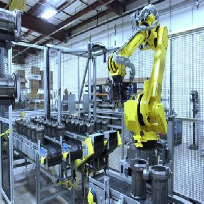 Fanuc Repairing Service