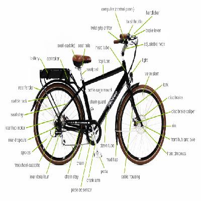 Amro E cycle Name: GO