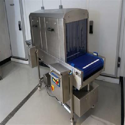 Fume Based Sanitizing Tunnel (Manual Operation)