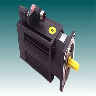 Baumuller Servo Motor Repairing Service