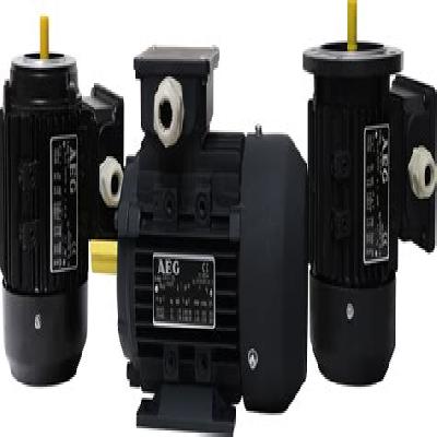 Lafert Servo Motor Repair Service