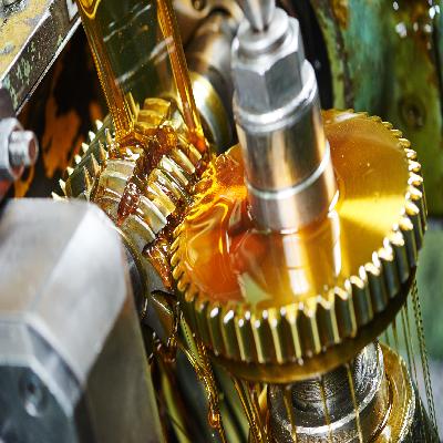 CACA Squirrel Cage Induction Motor