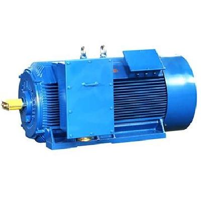 TEFC Squirrel Cage Induction Motor