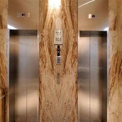 Nice3000 Plus High Speed Elevator