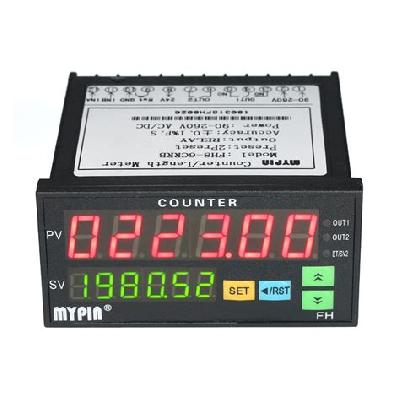 Dual Display Counter