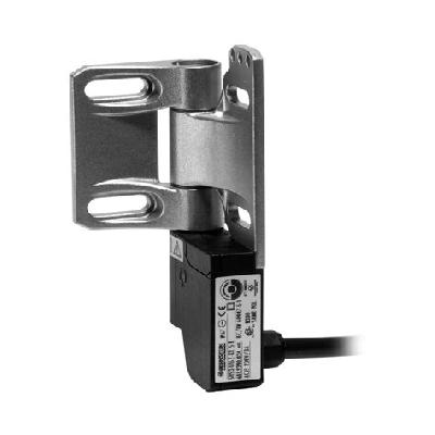 Hinge Switches