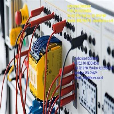 Pilz (Pnoz Multi, PES)