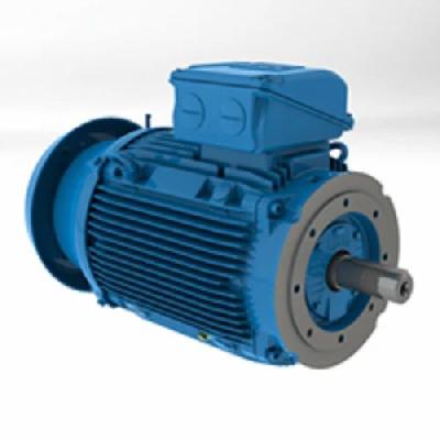 3 Phase AC Induction Motors