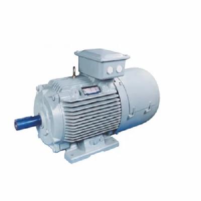 Crompton Foot Cum Flange Motor
