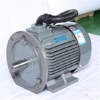 Crompton Greaves Flange Mounted Motor