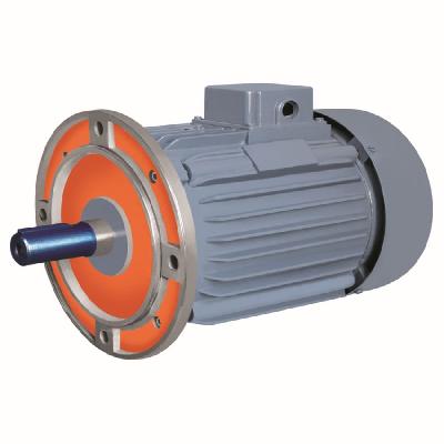 Flange Motor