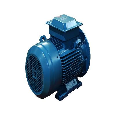 Foot Cum Flange Motor