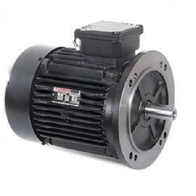 Havells Three Phase Foot Cum Flange Motor