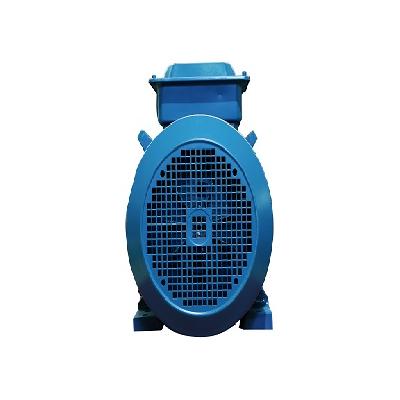 ABB Foot Cum Flange Motor