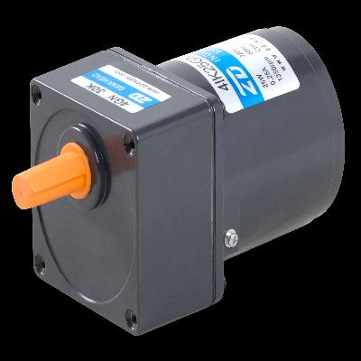 AC Induction Motor