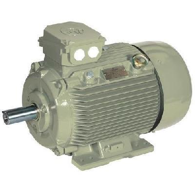 Crane Duty Motor