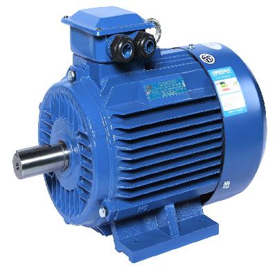 Three Phase Induction Motor
