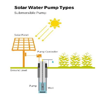 1hp Solar Dual Pump System With Controller