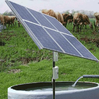 Solar DC Pump System