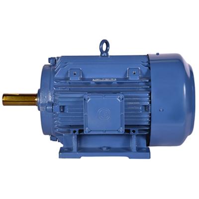 Bharat Bijlee Foot Mounted Motor