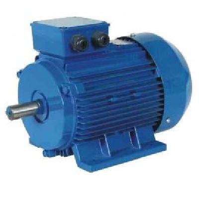 Havells Three Phase Electric Motors