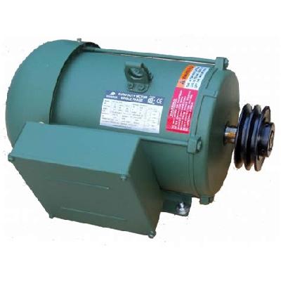 1 HP Three Phase Torque Motor
