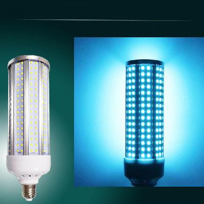 LED UV Lamps