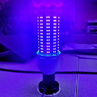 UV LAMP