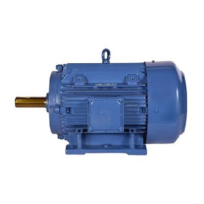 Bharat Bijlee Manufactures Three Phase Squirrel Cage Induction Motors