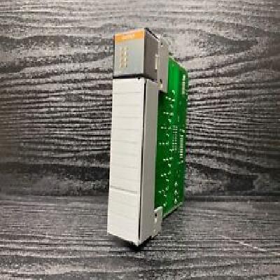 Allen Bradley 1746-0W8