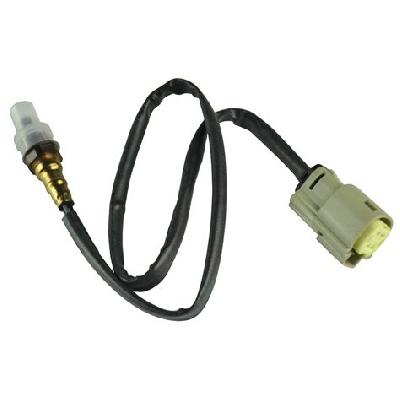 Dyna Sensor