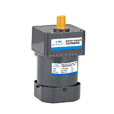 60watt Speed Gear Control Motor