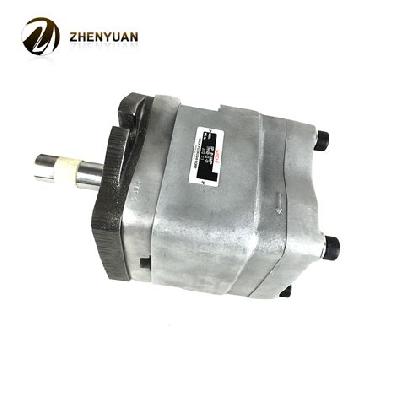 25 Cc Gear Pump For Injection Molding Machine