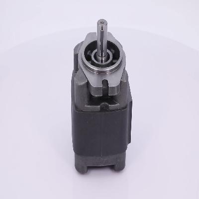 50 CC Gear Pump For Injection Molding Machine