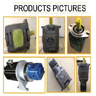 63 CC Gear Pump For Injection Molding Machine