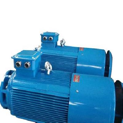 Electronic Motor