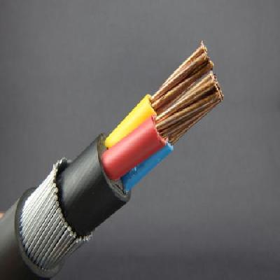 1.5sq.mm X 4c Copper Armoured Cable