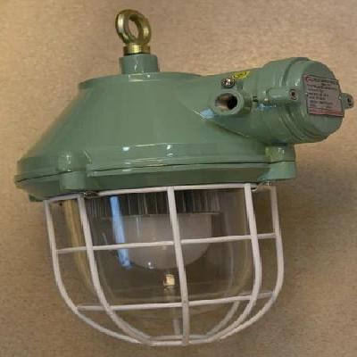 Flameproof Weatherproof LED Well Glass Fitting