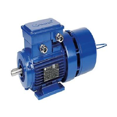 Induction Brake Motor