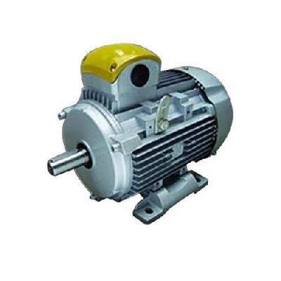 Bharat Bijalee Crane And Hoist Duty Motor