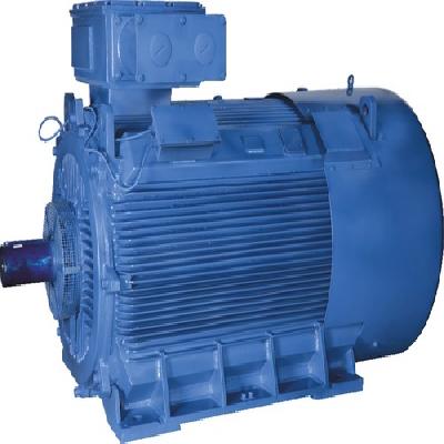 Bharat Bijalee IE4 Safe Area Motor