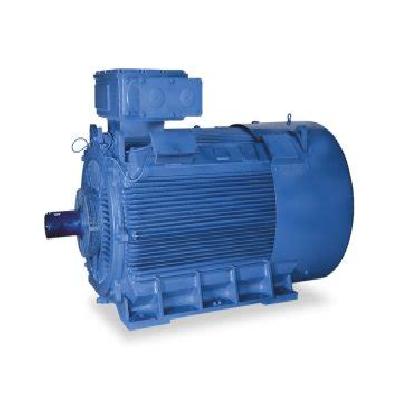 Bharat Bijalee Increased Safety Motor