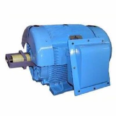 Bharat Bijalee Large LT Motor (DCCA)