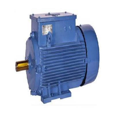 Bharat Bijalee Non-Sparking Motor