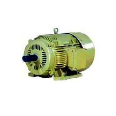 Bharat Bijalee Slip Ring Motor