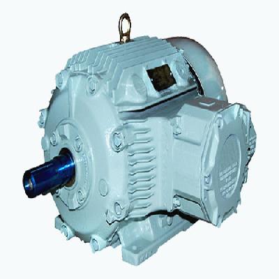 Bharat Bijalee Standard Flame Proof Motor
