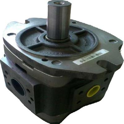 Voith Gear Pump